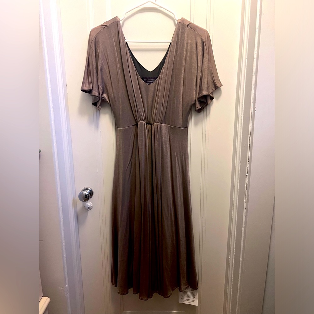 Tiffany Rose Maternity dress (size 2)